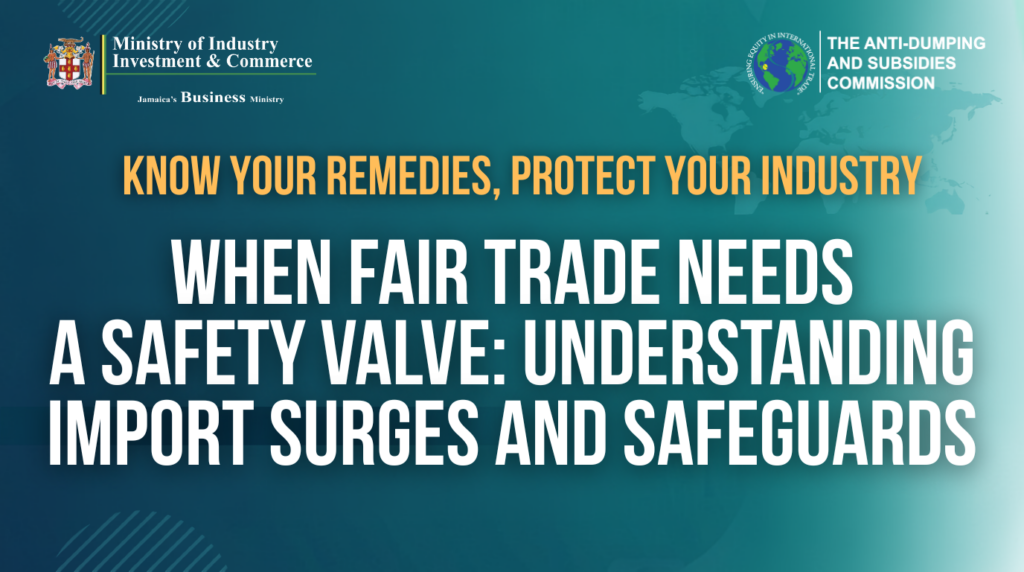 When Fair Trade Needs a Safety Valve: Understanding Import Surges and Safeguards