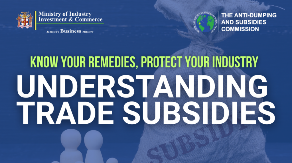 Levelling the Playing Field: Understanding Trade Subsidies