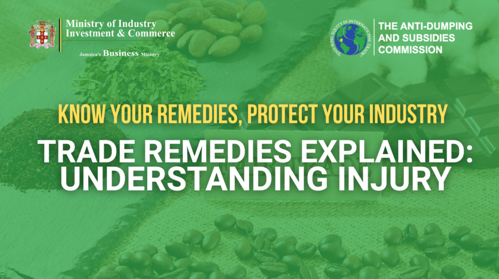 Trade Remedies Explained: Understanding Injury